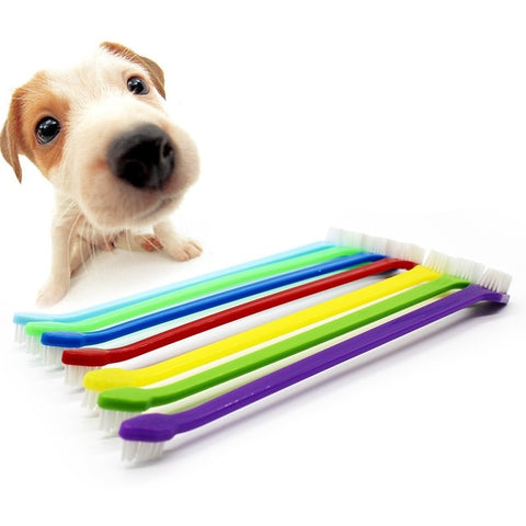 1pcs Random Color Pet Dog Cat Tooth Brush Teeth Care Home Dog Cleaning Supplies CRYXZ3 - ren mart